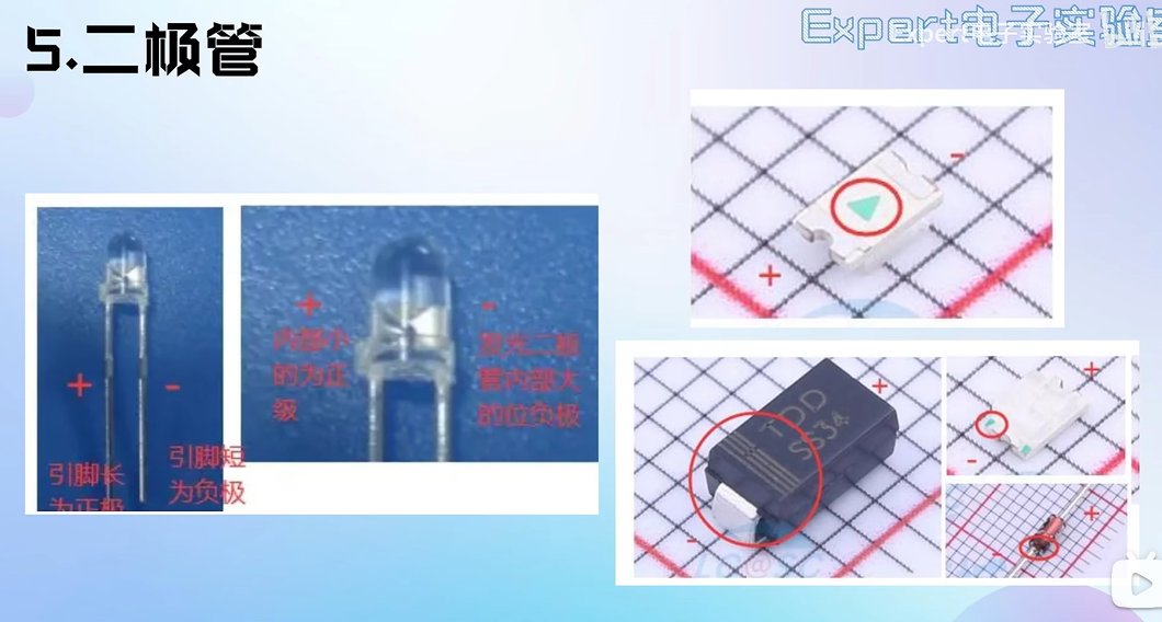 image-20250203170241921