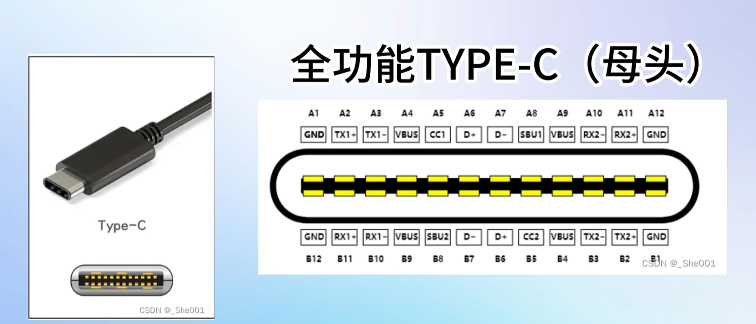 image-20250224213259253